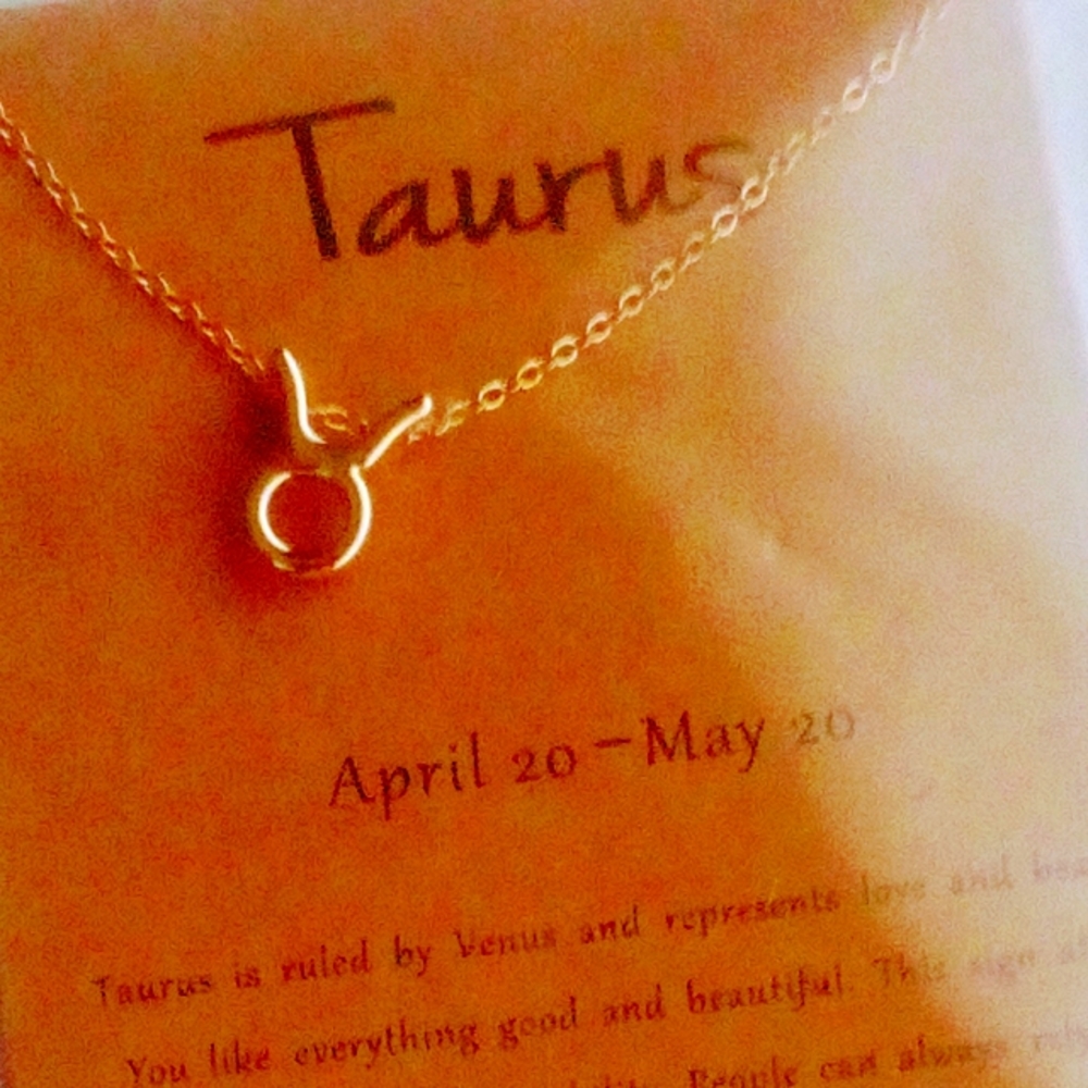 Zodiac Charm And Chain Taurus